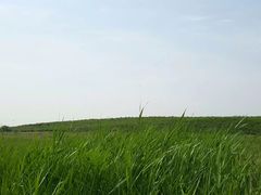 景观位-赛汗塔拉草原公园
