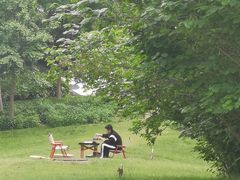 -解家河南菜(金水路店)