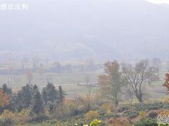 -塔川景区