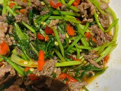 -壹盏灯(惠农店)
