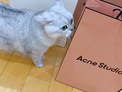 -Acne Studios(芮欧百货店)