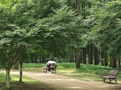 -杭州植物园