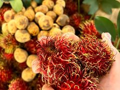 -blt精品超市(KKMALL京基店)