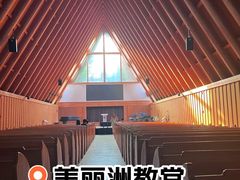 -美丽洲堂
