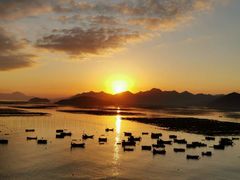 -北岐滩涂