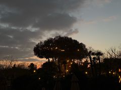 -巴黎迪士尼乐园