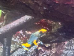 -上海大自然野生昆虫馆(东方明珠·爬宠昆虫探索中心)