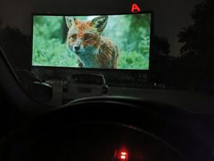 -枫花园汽车电影院(朝阳公园店)