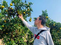 -上海长兴岛郊野公园