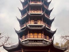 -红梅公园
