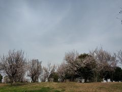 -漕湖湿地公园