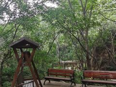 -大岭沟猕猴桃谷风景区