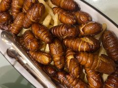 -海派美食·家宴海鲜青岛菜·石锅鲽鱼头(东方城店)