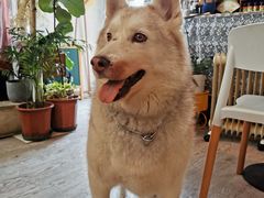 -小时光咖啡馆(北锣鼓巷店)