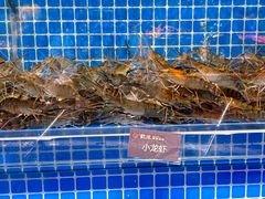 -乔哥铭洋海鲜自助(皇城恒隆广场店)