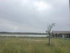 -盐城丹顶鹤湿地生态旅游区