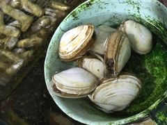 -公寓家常菜馆(海军博物馆店)