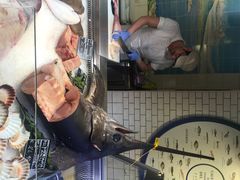 Eataly&nbsp;Milano&nbsp;Smeraldo-Eataly