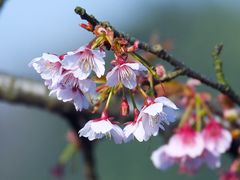 -上海鲁迅故居
