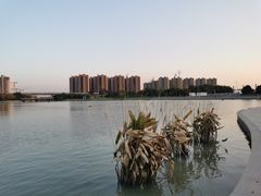 -映月湖中央公园