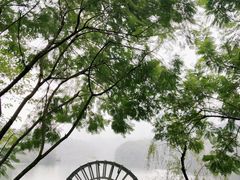 -重庆彩云湖湿地公园