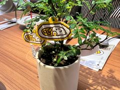 -CURRY YA 熟成咖哩專門店(深圳湾万象城店)