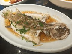 清蒸石斑鱼-三凤酒家·百年无锡菜(清扬茂业店)