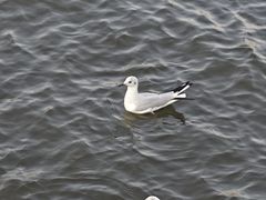 -滇池海埂公园