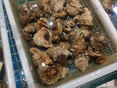 -和源祥·日照菜扛把子(万平口一店)