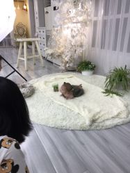 -邦叔叔.亲子全家福毕业照跟拍摄影(嘉定店)