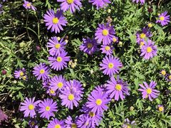 -徐家汇源景区-衡山公园