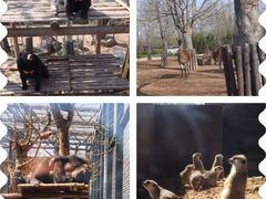 -济南野生动物世界