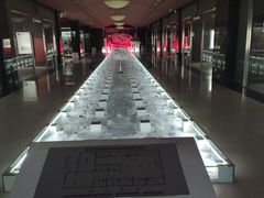 -青岛贝壳博物馆