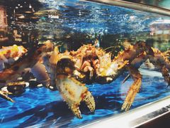 -盒马鲜生(莱蒙都会店)
