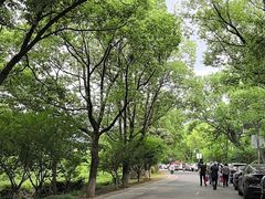 -敬亭山风景名胜区