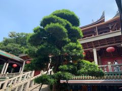 -南普陀寺