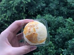 莲蓉蛋黄酥-闻酥园(大慈寺店)