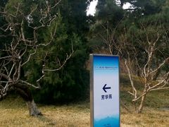 -钓鱼台国宾馆