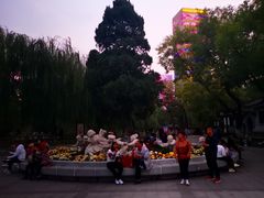 -文瀛公园