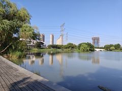 -九里河湿地公园