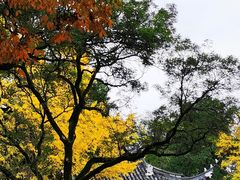 -汇龙潭