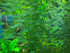 -正佳极地海洋世界