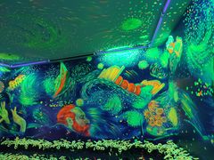 -天津梵高星空艺术馆(天河城旗舰店)