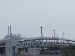 -招商蛇口邮轮母港(观光客运)