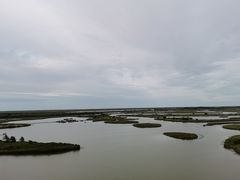 -盐城丹顶鹤湿地生态旅游区