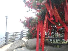 -缙云山景区