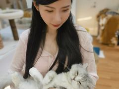 -COLOR PETS 撸猫馆·购猫·猫咖(长风大悦城店)