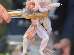 -青山青豆花·笑禅豆腐鱼(黄泥塝店)