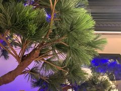 -绿茶餐厅(成都大悦城店)