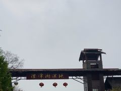 -泗洪洪泽湖湿地景区